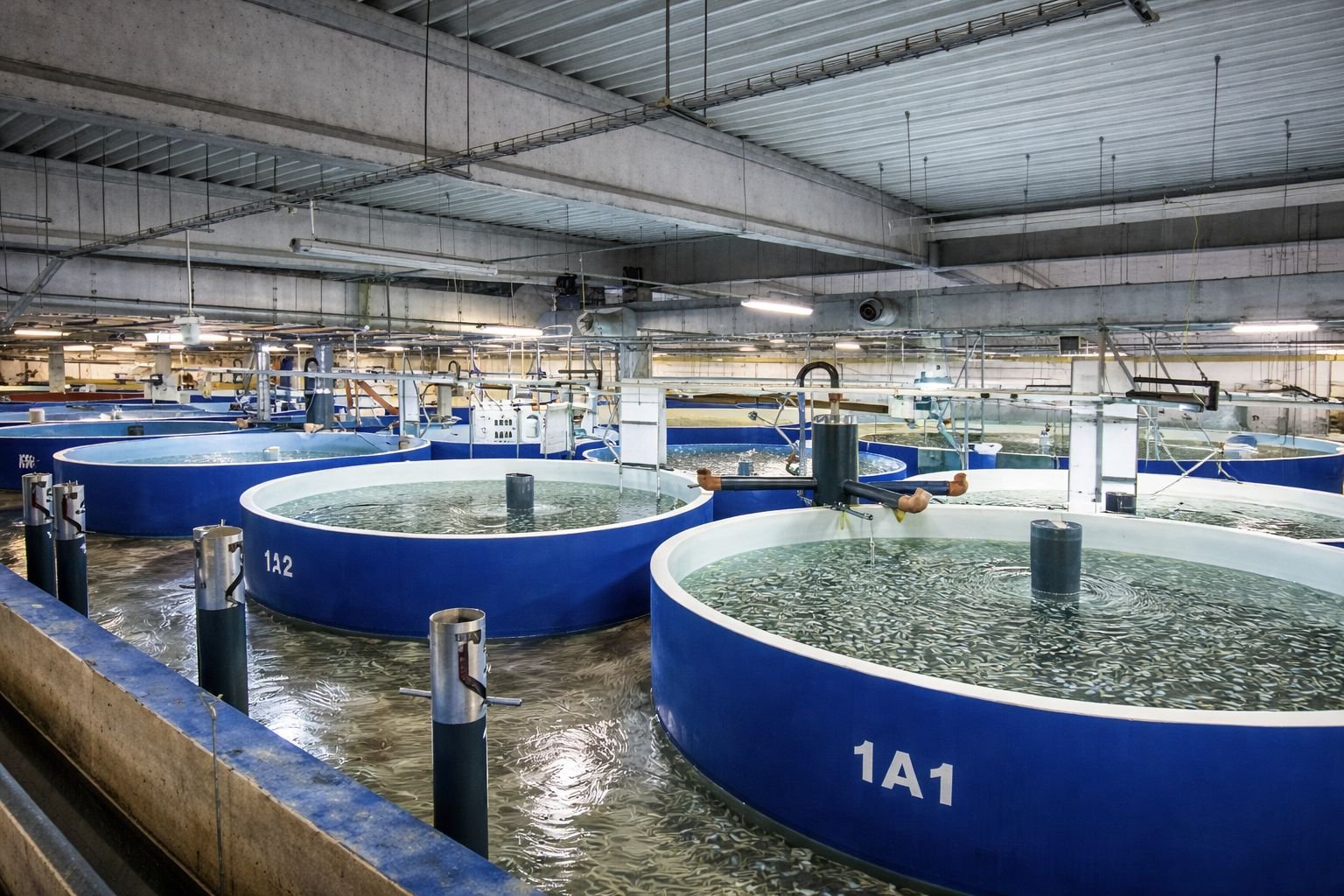 Slovakia Fish and Seafood Facility